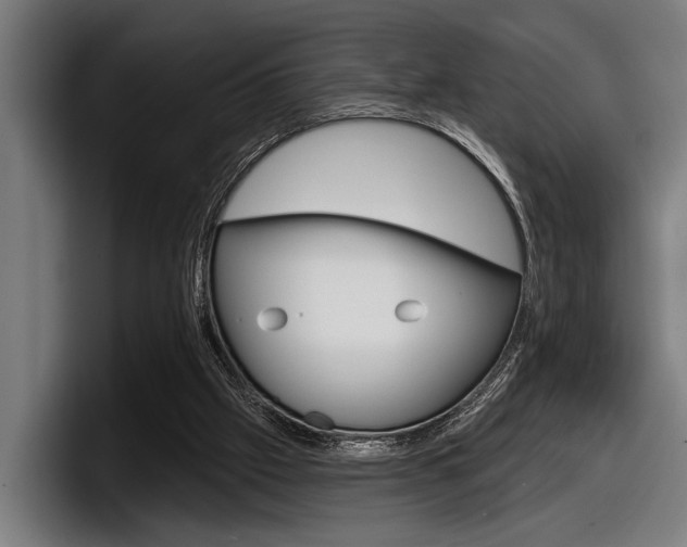 X0000098150057200804171205