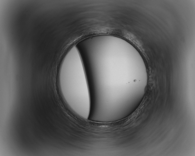 X0000098150058200804171205