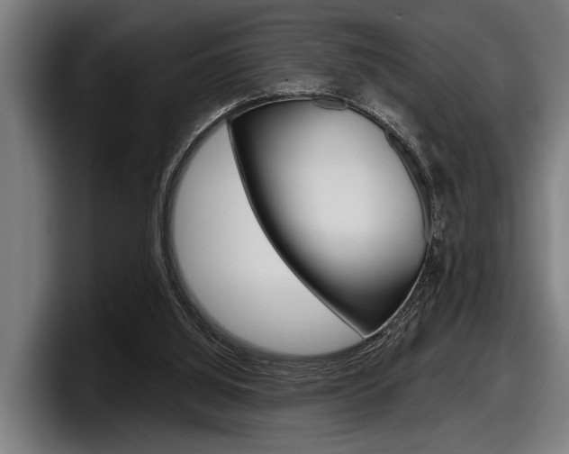 X0000098150060200804171205