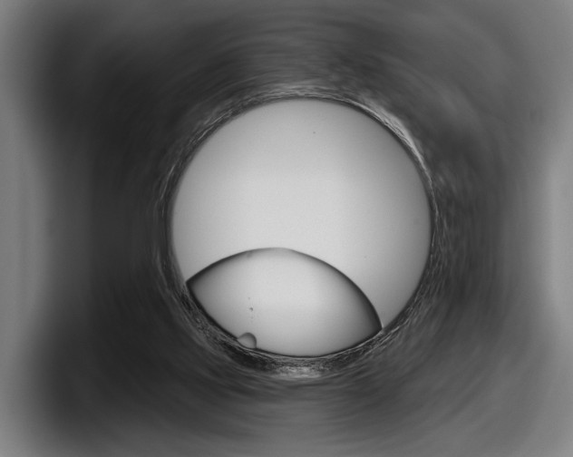 X0000098150061200804171205