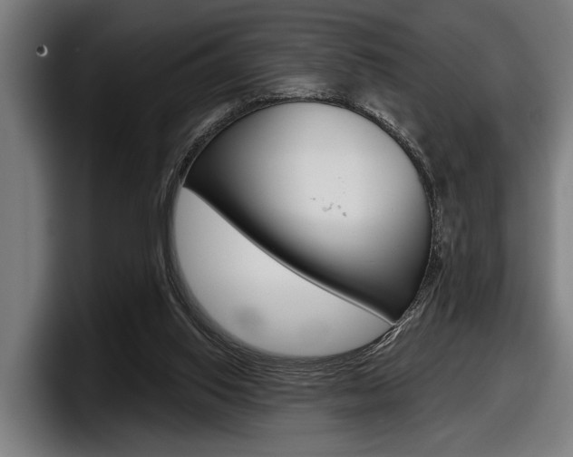 X0000098150062200804171205