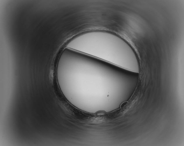 X0000098150063200804171205