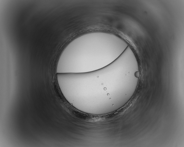 X0000098150065200804171205