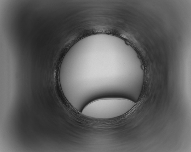 X0000098150066200804171205