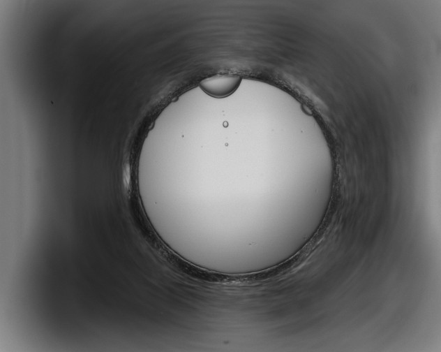 X0000098150067200804171205
