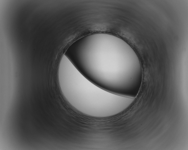 X0000098150068200804171205