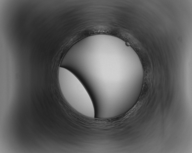 X0000098150070200804171205