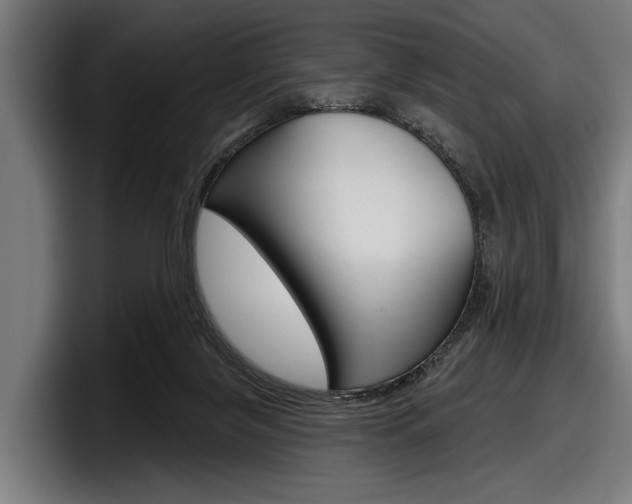 X0000098150071200804171205