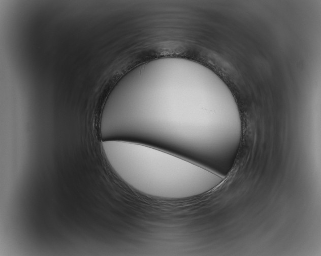 X0000098150074200804171205