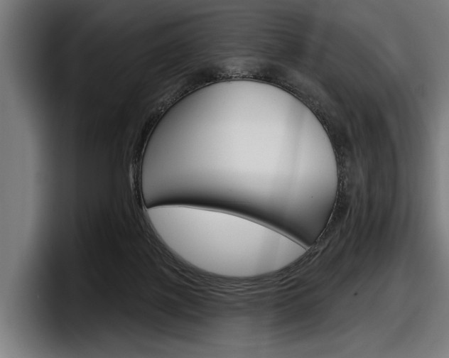 X0000098150075200804171205