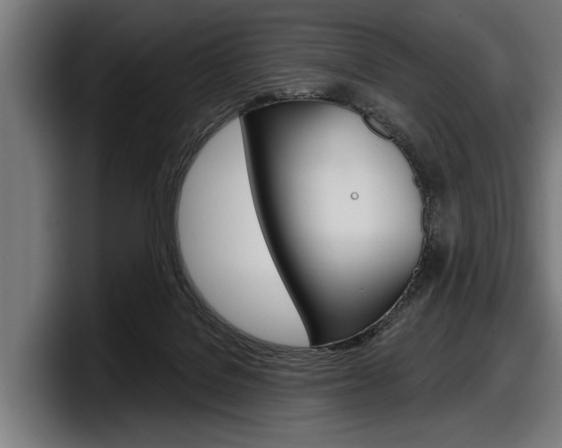 X0000098150076200804171205