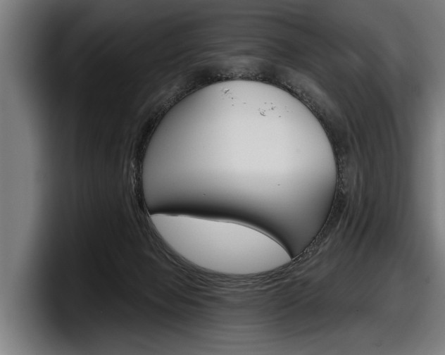 X0000098150077200804171205