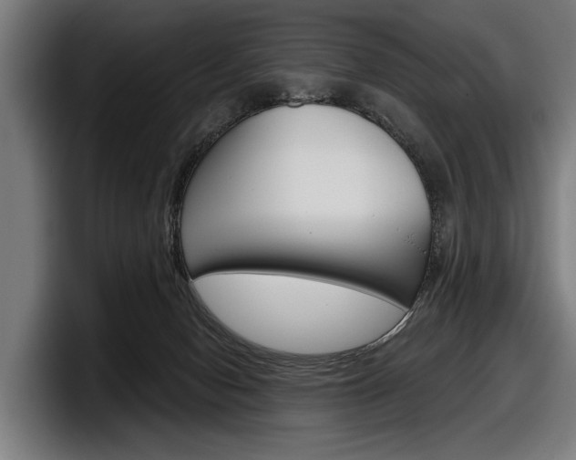 X0000098150078200804171205