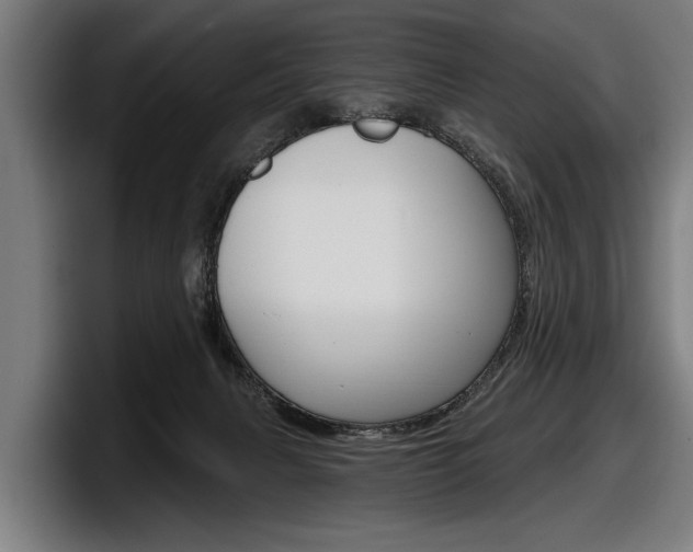 X0000098150079200804171205