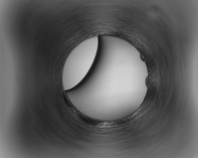 X0000098150082200804171205