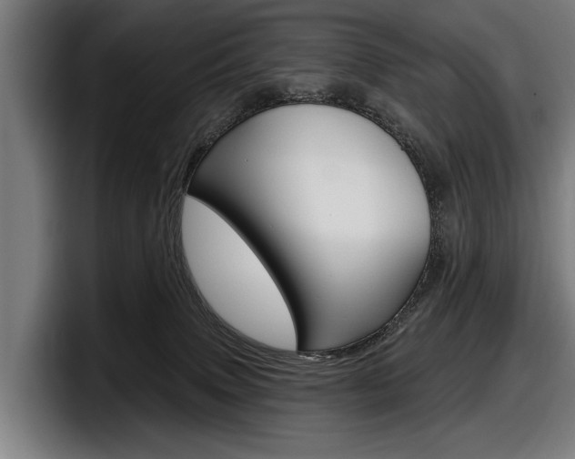 X0000098150083200804171205