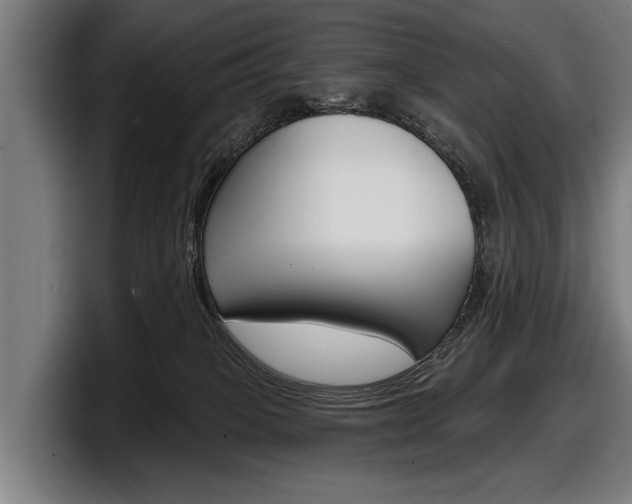 X0000098150085200804171205