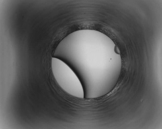 X0000098150086200804171205