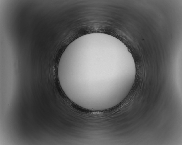 X0000098150087200804171205