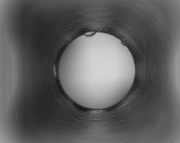 X0000098150089200804171205