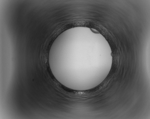 X0000098150091200804171205