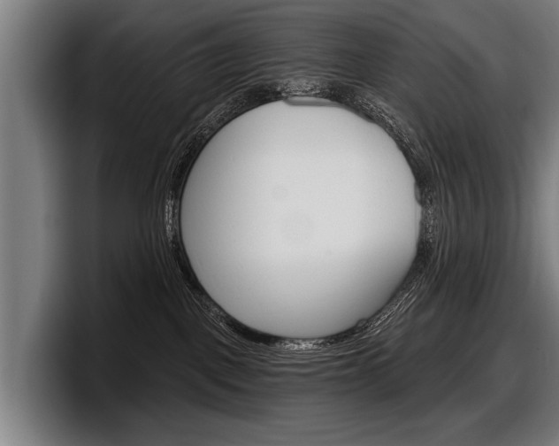 X0000098150093200804171205