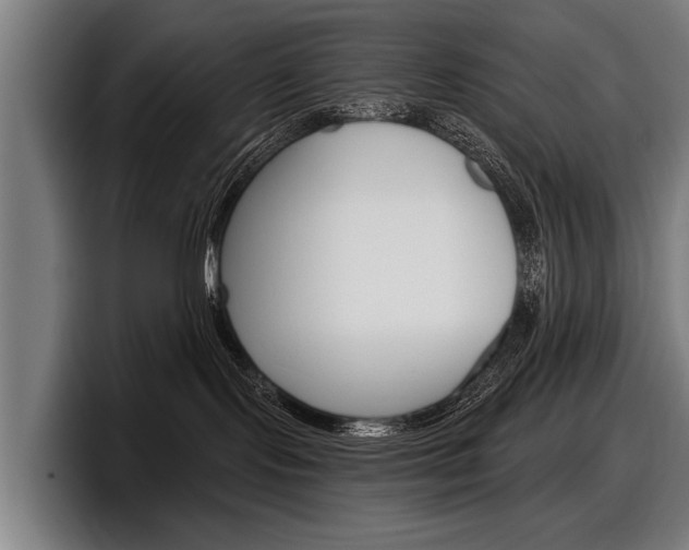 X0000098150095200804171205