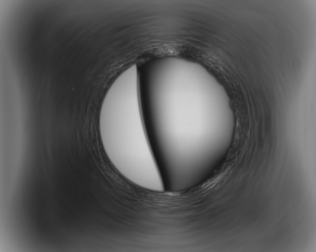 X0000098150096200804171205