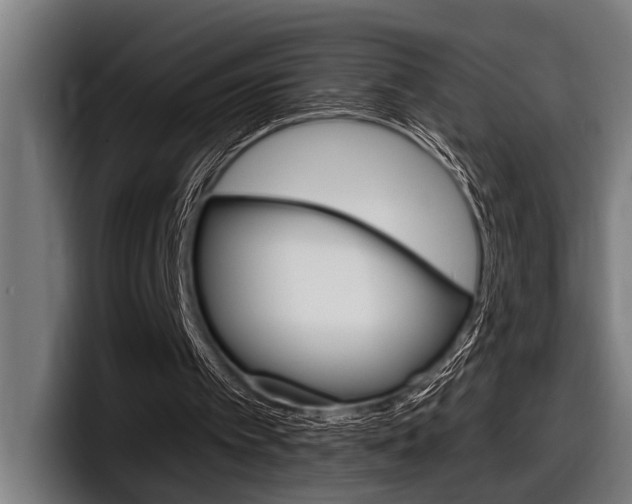 X0000098150097200804171205