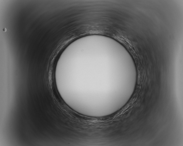 X0000098150098200804171205