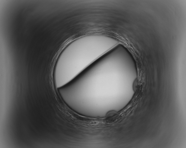 X0000098150099200804171205