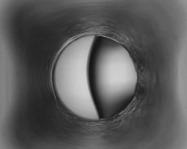 X0000098150100200804171205