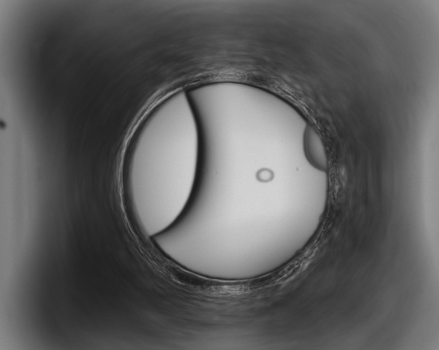 X0000098150102200804171205