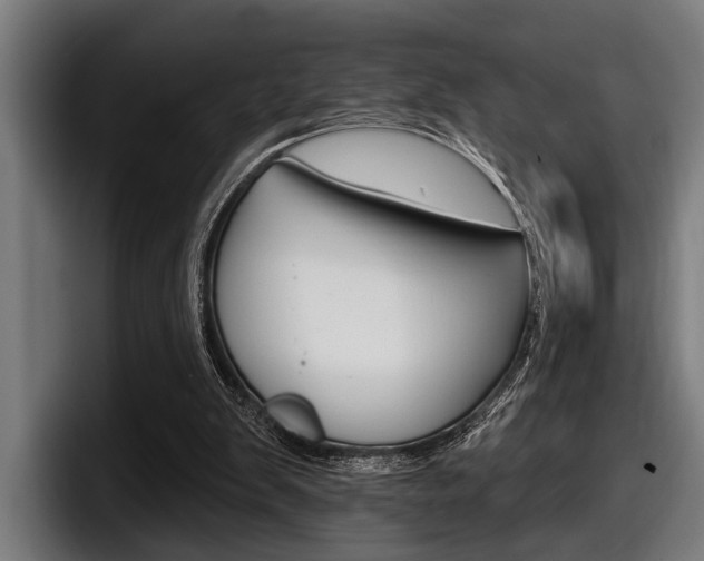 X0000098150103200804171205