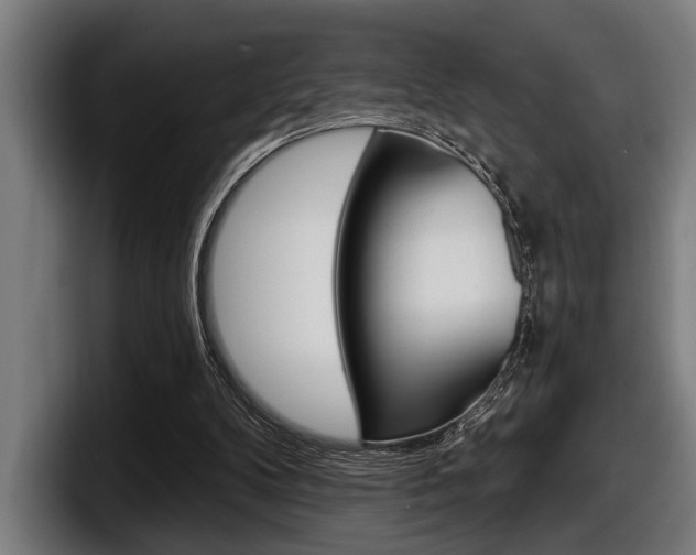 X0000098150104200804171205