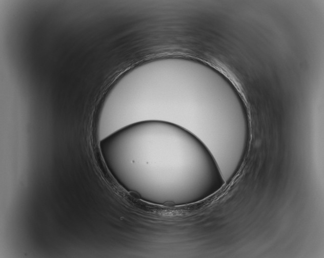 X0000098150105200804171205