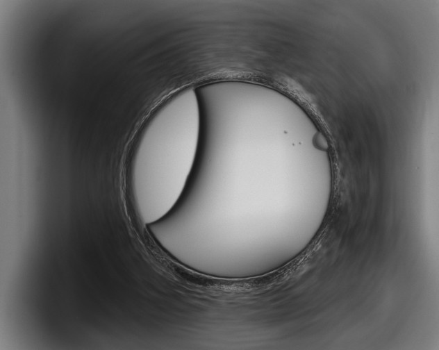 X0000098150106200804171205
