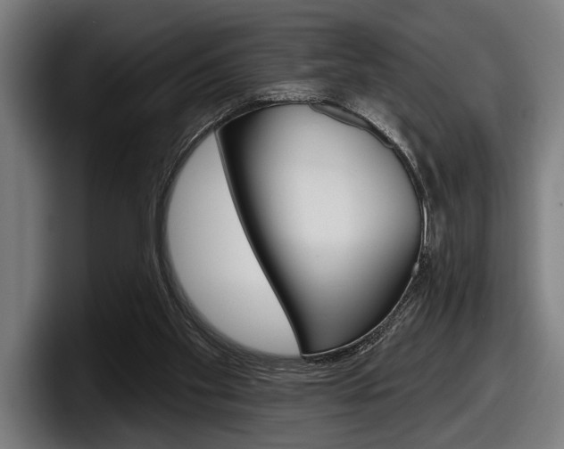 X0000098150109200804171205