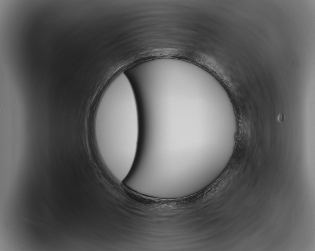 X0000098150110200804171205