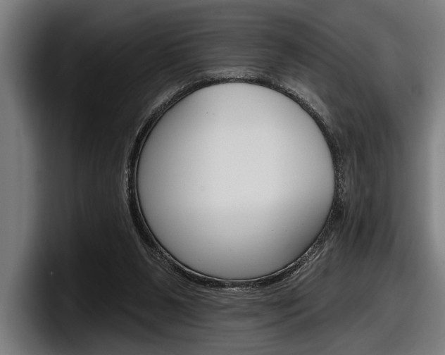 X0000098150111200804171205