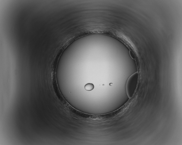 X0000098150113200804171205