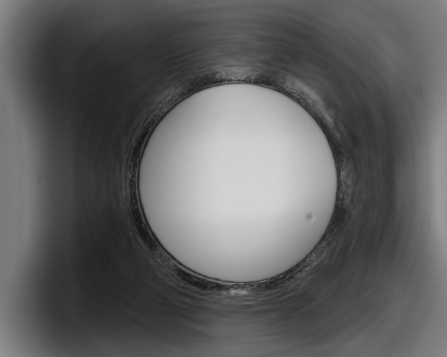 X0000098150114200804171205