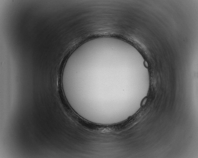 X0000098150115200804171205
