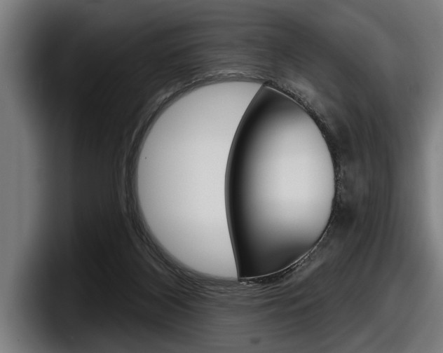 X0000098150116200804171205