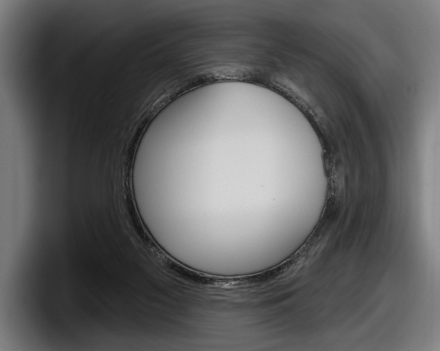 X0000098150117200804171205