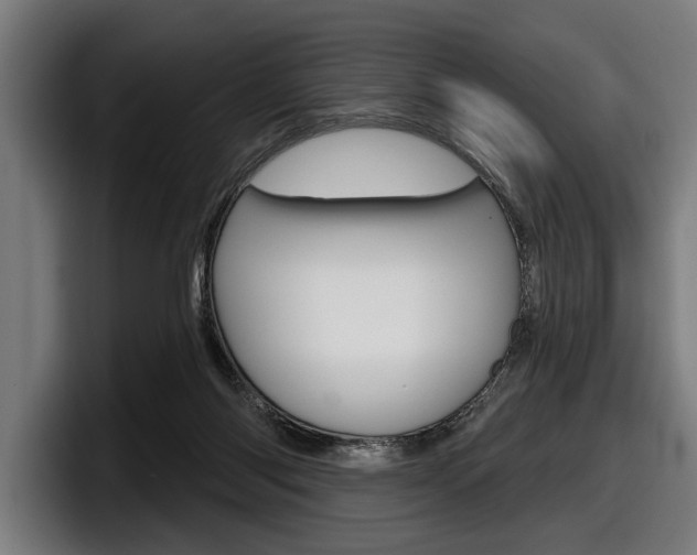 X0000098150118200804171205