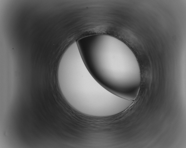 X0000098150120200804171205