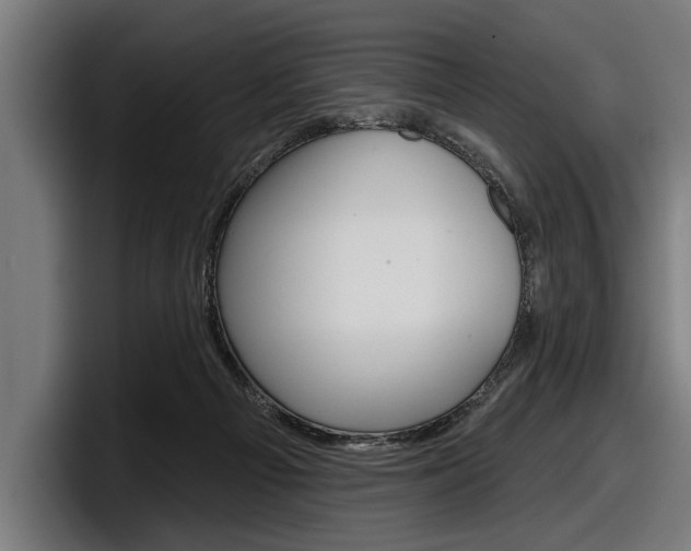 X0000098150121200804171205