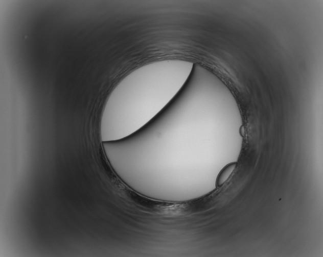 X0000098150122200804171205