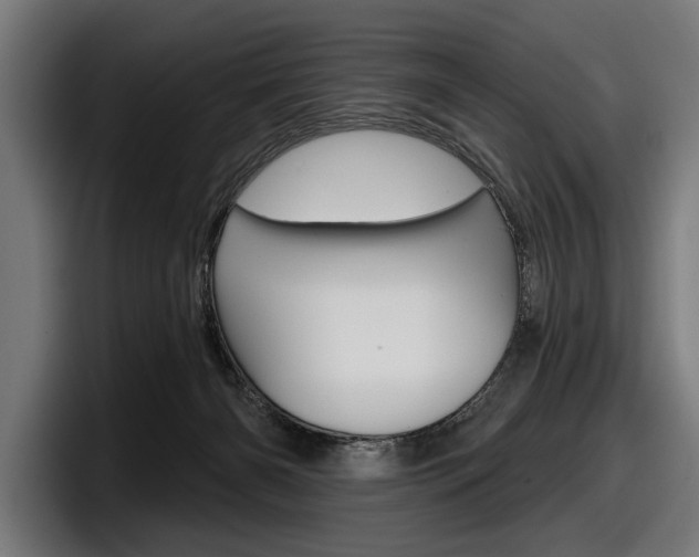X0000098150126200804171204